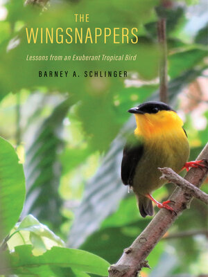 cover image of The Wingsnappers